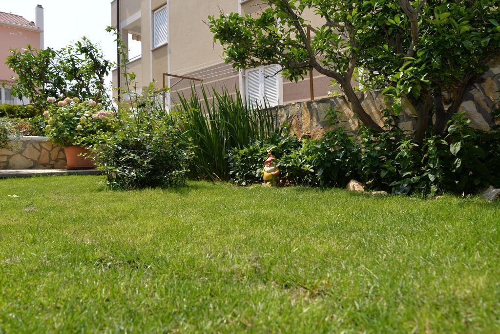 Apartments Cvito Novalja Exterior photo